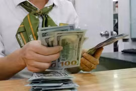 The daily reference exchange rate for the US dollar is set at 24,847 VND/USD on March 25. (Photo: VNA)