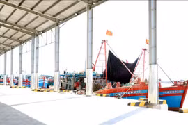 Ships dock at Ninh Co port (Photo: VNA)