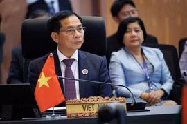 Vietnamese Deputy Prime Minister and Minister of Foreign Affairs Bui Thanh Son at the meeting. (Photo: VNA)
