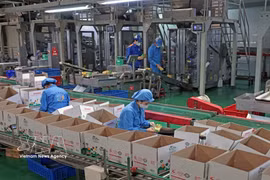 Long Hai Co., Ltd., located in Industrial Cluster No. 1 of Thach Khoi ward, Hai Phong city, produces hundreds of tonnes of products annually for both domestic consumption and export. (Photo: VNA)