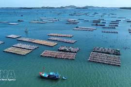 Mariculture – new growth driver for Vietnam’s ocean economy (Photo: VNA)