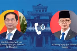 Deputy Prime Minister and Foreign Minister Bui Thanh Son holds a telephone talks with Indonesian Minister of Foreign Affairs Sugiono on February 10. (Photo: VNA)