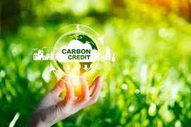 Vietnam will develop carbon market to meet greenhouse gas (GHG) emission reduction targets. (Photo: Insurance Business Mag)