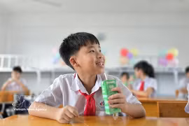 Formal corporate commitments to children’s rights remain low in Vietnam, a new UNICEF study finds. In the photo: Pupils drink milk at Le Thanh Tong interlevel school in Quang Ninh province. (Photo: VNA)