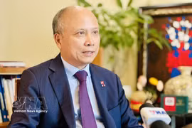 Former Vietnamese Ambassador to France Dinh Toan Thang in an interview granted to the Vietnam News Agency (Photo: VNA)