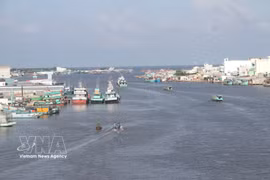 Song Doc estuary, a busy gateway for fishing vessels entering and leaving Ca Mau province. (Photo: VNA)