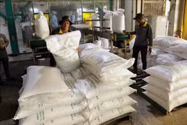 Rice exports of Vinh Phat Co., Ltd. in An Giang province. (Photo: VNA)