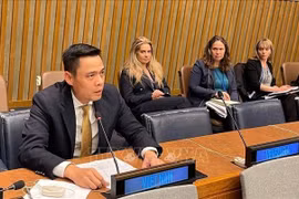 Ambassador Dang Hoang Giang, Permanent Representative of Vietnam to the UN. (Photo: VNA)