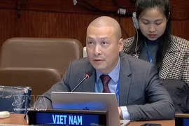Minister Counsellor Nguyen Hoang Nguyen, Deputy Permanent Representative of Vietnam to the UN. (Photo: VNA)