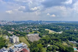 A green corner of Singapore. (Photo: VNA)