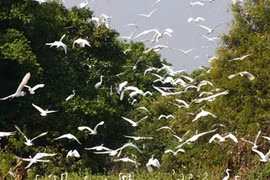 Prek Toal Ecotourism Site is a floating village with a bird sanctuary in Cambodia. (Photo: tourismcambodia.com)