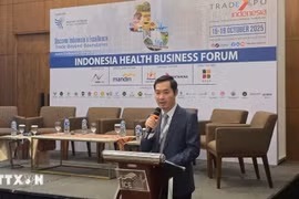 Dr. Nguyen Phuc Nam, Deputy Director of the MoIT’s Department of International Market Development speaks at the forum. (Photo: VNA)