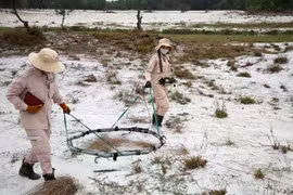 A bomb and mine clearance activity in Quang Tri province. (Photo: VNA)