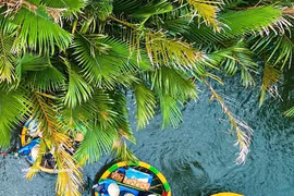 The Bay Mau nipa palm forest – a unique green destination in the heart of Da Nang (Photo: VNA)