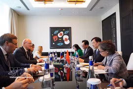 Politburo member and Secretary of the Communist Party of Vietnam (CPV) Central Committee Nguyen Duy Ngoc, who is also Chairman of the Party Central Committee’s Commission for Organisation (second, right) holds a working session with Russian Deputy Prime Minister Dmitry Chernyshenko (Photo: VNA)