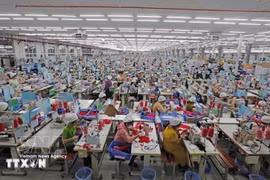 SCAVI Hue, a wholly French-invested company owned by Financière B’Lao, specialises in manufacturing underwear, sportswear and protective clothing at Phong Dien Industrial Park in Hue. (Photo: VNA)