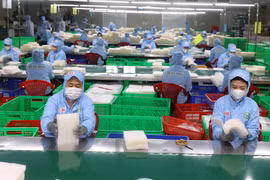 Workers sort rice papers at Tan Nhien Co. Ltd. in Tay Ninh province. (Photo: VNA)
