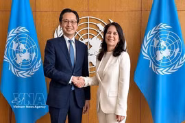 Ambassador Do Hung Viet, Permanent Representative of Vietnam to the United Nations (UN), meets with Annalena Baerbock, President of the 80th session of the UN General Assembly (UNGA). (Photo: VNA)