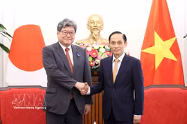 Politburo member and Minister of Foreign Affairs Le Hoai Trung (R) receives Japan's Liberal Democratic Party (LDP) Executive Acting Secretary-General Hagiuda Koichi in Hanoi on July 21. (Photo: VNA)