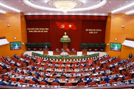 The opening session of the 14th Party Central Committee's third plenum (Photo: VNA)