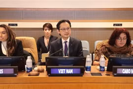 Ambassador Do Hung Viet, Permanent Representative of Vietnam to the UN, ,chairs the seminar. (Photo: VNA)