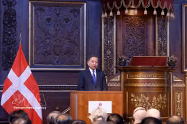 Top Vietnamese leader highlights new horizon for Vietnam–Denmark cooperation