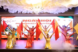 A performance at the event (Photo: VNA)