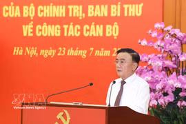 Politburo member and Permanent member of the Communist Party of Vietnam Central Committee's Secretariat Tran Cam Tu speaks at the conference on July 23. (Photo: VNA)