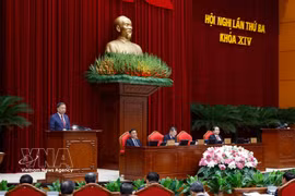 Party General Secretary and State President To Lam speaks at the 14th Party Central Committee’s 3rd plenum (Photo: VNA)