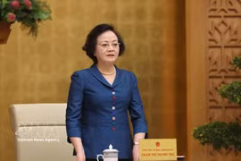 Deputy Prime Minister Pham Thi Thanh Tra speaks at the conference (Photo: VNA)