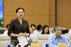Ha Thi Nga, Vice President and Secretary-General of the Central Committee of the Vietnam Fatherland Front, presents a summary report on the opinions and recommendations of voters and the public submitted to the 2nd session of the 16th National Assembly. (Photo: VNA)
