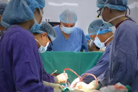 Doctors perform an organ transplant. (Photo: VietnamPlus)
