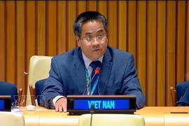 Minister Counsellor Nguyen Hai Luu, Deputy Permanent Representative of Vietnam to the United Nations, speaks at the sixth plenary meeting of the IGN process on UNSC reform held on June 15 at the UN Headquarters in New York (Photo: VNA)