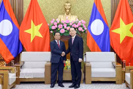 Vietnamese Minister of Justice Hoang Thanh Tung (R) and Lao Deputy Prime Minister and Minister of Justice Khamphan Phommathat meet in Hanoi on June 16. (Photo: VNA)