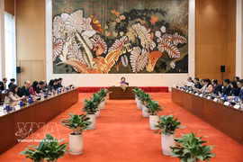Vice Chairwoman of the National Assembly (NA) Nguyen Thi Hong meets with the delegation from the US-ASEAN Business Council on April 15 in Hanoi. (Photo: VNA)