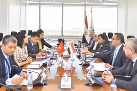 A meeting between the working delegation from Vietnam’s Ministry of Industry and Trade, and leaders of Egypt’s Investment and Foreign Trade Ministry. (Photo: Courtesy of the Ministry of Industry and Trade)