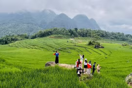 Pu Luong community tourism area in Thanh Hoa province attracts domestic and international tourists (Photo: VNA)