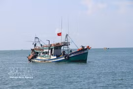 Localities have been demanded to review records of fishing vessels leaving and entering ports, ensuring sufficient and consistent data and clarifying discrepancies between archived records and information on the management system. (Illustrative photo: VNA)