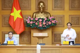 Prime Minister Pham Minh Chinh (R) speaks at the conference (Photo: VNA)