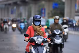 The north and north-central regions are forecast to turn cold while the northern mountainous and midland areas will see severe cold on November 19. (Illustrative photo: VNA)