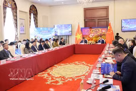 An overview of the seminar (Photo: VNA)