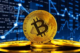 The report focuses on the crypto economy and tracked the flows and activity of Bitcoin, Ether, stablecoins and other tokens across blockchains via various channels. (Photo: vneconomy.vn) 