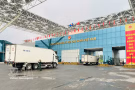 Trucks line up to clear customs at Bac Luan II Bridge, Mong Cai International Border Gate. (Photo: VNA)