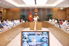 Deputy Prime Minister Le Tien Chau speaks at the meering (Photo: VNA)