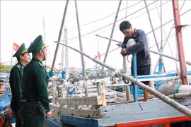 Border guards in Phu Yen province disseminate anti-IUU fishing information to a fisherman at the Dong Tac fishery port in Tuy Hoa city. (Photo: VNA)