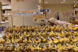 Vietnamese bananas are sold at an AEON supermarket in Japan. (Photo: VNA)