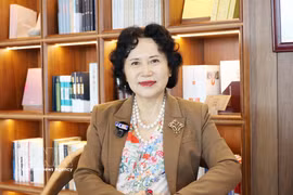 Professor Tao Yitao, Director of the China Centre for Special Economic Zone Research (Photo: VNA)