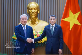 Prime Minister Le Minh Hung (right) recieves JICA President Tanaka Akihiko in Hanoi on June 11. (Photo: VNA)