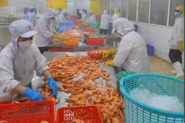 Standard Chartered is optimistic about Vietnam’s growth (Photo: VietnamPlus)
