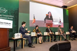 Vietnamese Ambassador to the Republic of Korea Vu Ho (centre) participates in the discussion session (Photo: VNA)